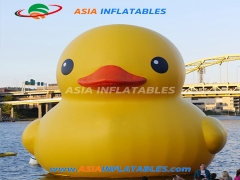Good Quality Custom Cute Inflatable Duck Cartoon For Pool Floating