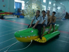 Inflatable Crocodile Boat