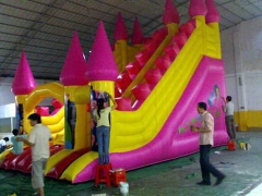 Pink Tower Slide