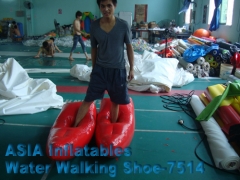 Su ayakkabıları