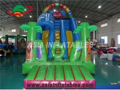 Inflatable Sarafi Slide