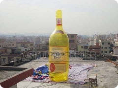 Yellow Bottle Model